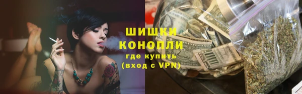 гидра Пестово
