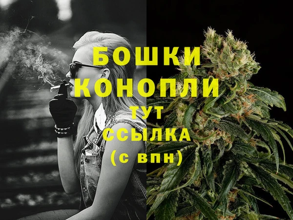 гидра Пестово