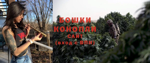 гидра Пестово