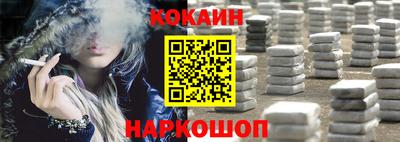 прущие грибы Абакан