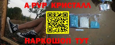 шишки Волжский