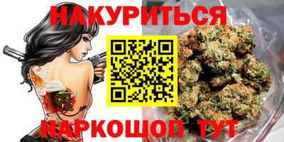 прущие грибы Абакан