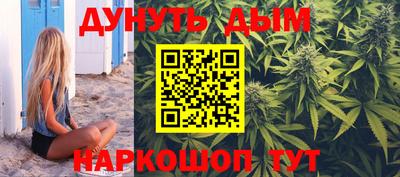 прущие грибы Абакан