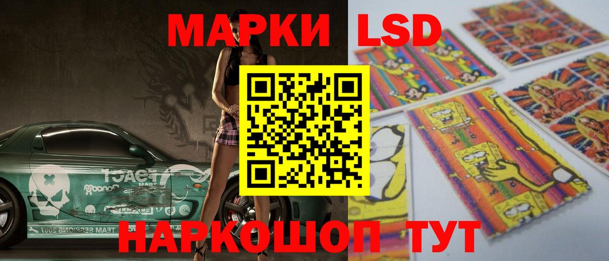 A PVP Кудымкар