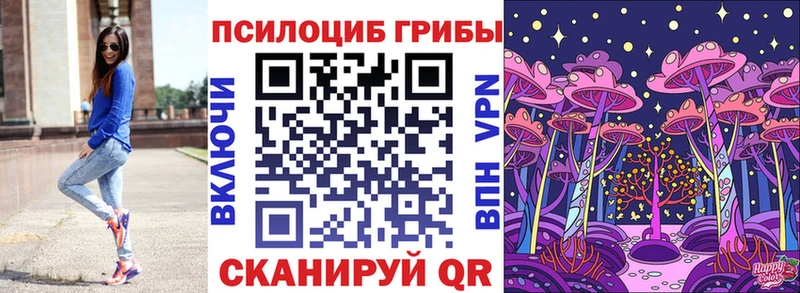 Галлюциногенные грибы Psilocybine cubensis  Кудымкар 