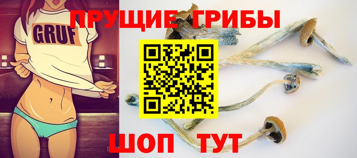 Кудымкар  Псилоцибиновые грибы прущие грибы  Галлюциногенные грибы GOLDEN TEACHER  закладка  Вход с VPN 